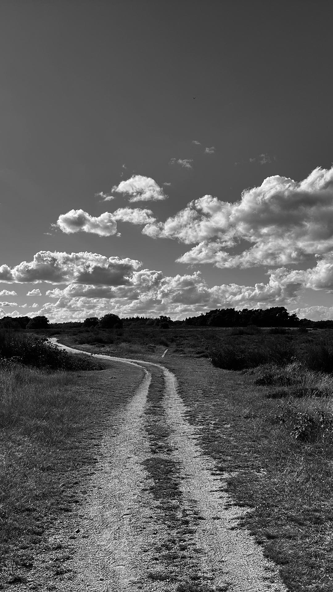 Cavaloupe Walk to Talk II