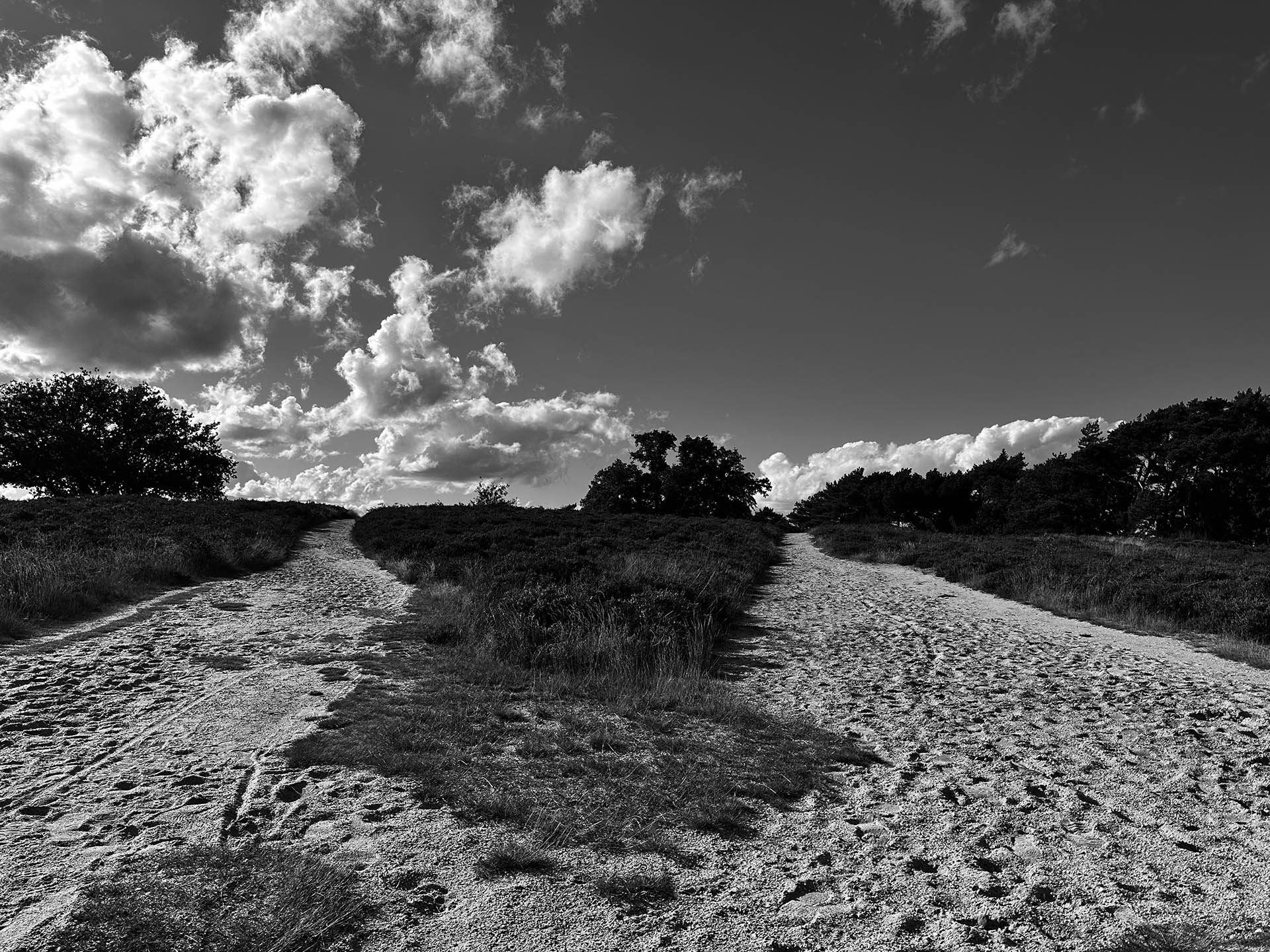 Cavaloupe Walk to Talk